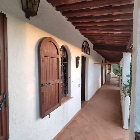 Aloe & Cactus 키아