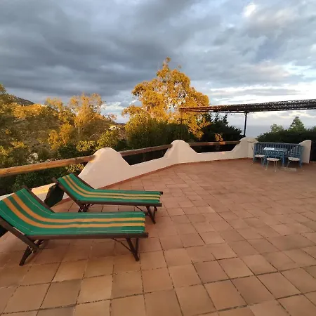 Aloe & Cactus بيت للعطل