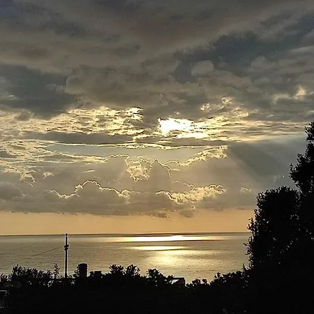 Aloe & Cactus 펜션