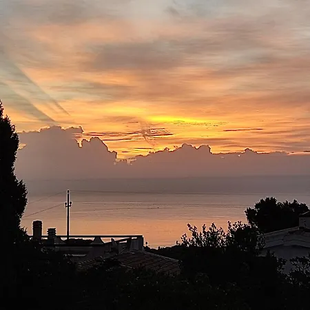 펜션 Aloe & Cactus