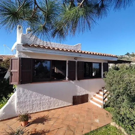 Aloe & Cactus 펜션