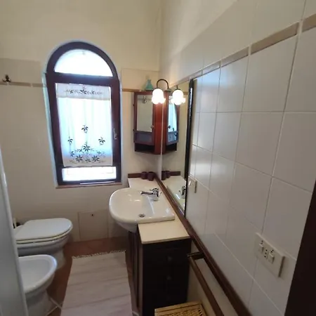 Aloe & Cactus * شيا