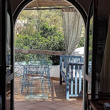 Aloe & Cactus * 키아