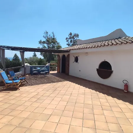 Aloe & Cactus بيت للعطل شيا