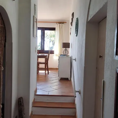 Aloe & Cactus 키아