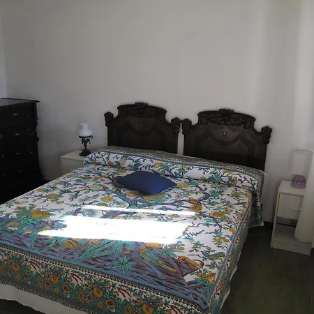 Aloe & Cactus بيت للعطل شيا