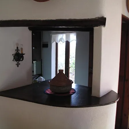 Aloe & Cactus * 키아