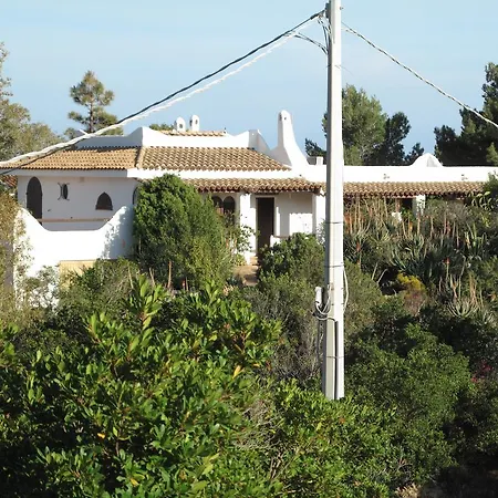 Aloe & Cactus * 키아