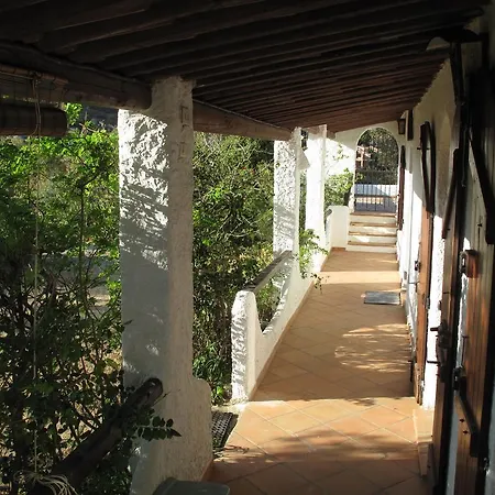 Aloe & Cactus * 키아