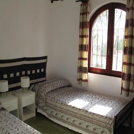 Aloe & Cactus * 키아