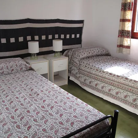 Aloe & Cactus 키아