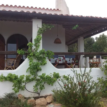 Aloe & Cactus * 키아