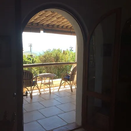 Aloe & Cactus 펜션 키아