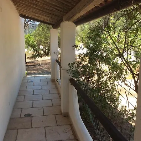 Aloe & Cactus بيت للعطل *