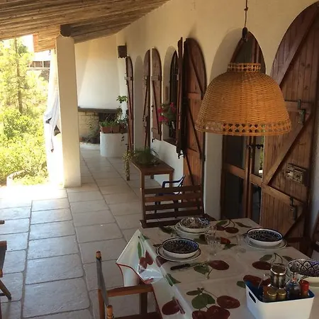 Aloe & Cactus شيا