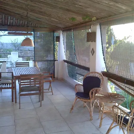 Aloe & Cactus بيت للعطل شيا