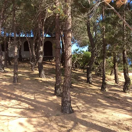 Aloe & Cactus 펜션 *