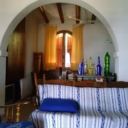 Aloe & Cactus * 키아