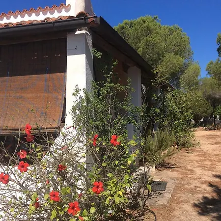 Aloe & Cactus بيت للعطل