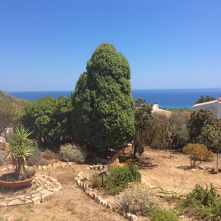 بيت للعطل Aloe & Cactus شيا