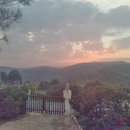 Aloe & Cactus بيت للعطل