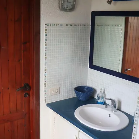 Aloe & Cactus 펜션 키아