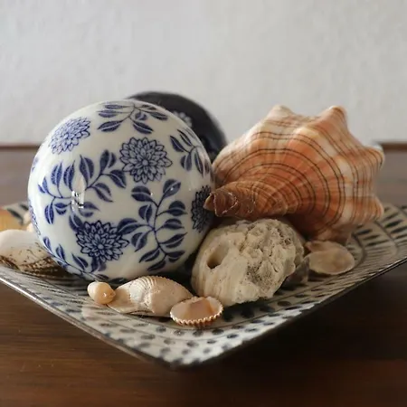 Aloe & Cactus بيت للعطل